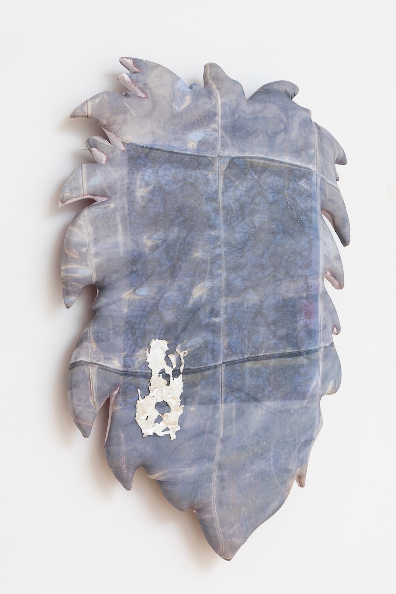 54-PINOCCHIO-SEEDLING-X-FASHION