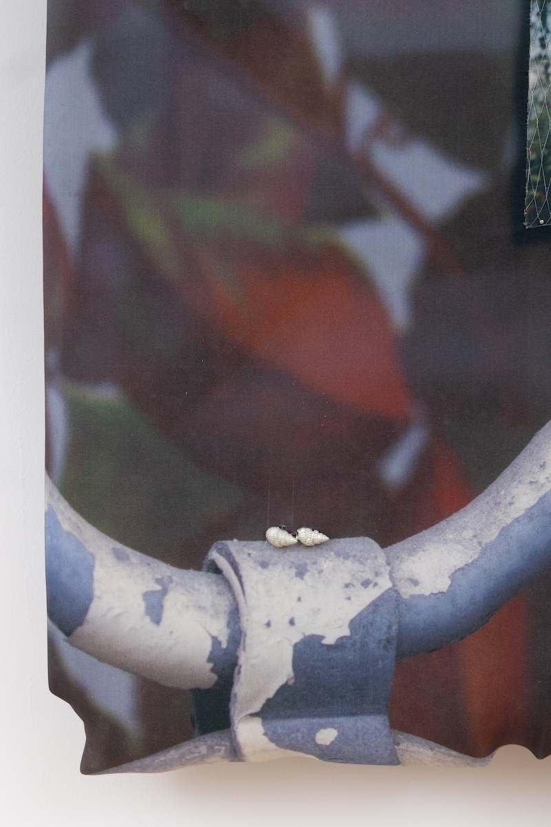 59-PIGALLE-(FANTASTIQUE-X-BOUDOIR)